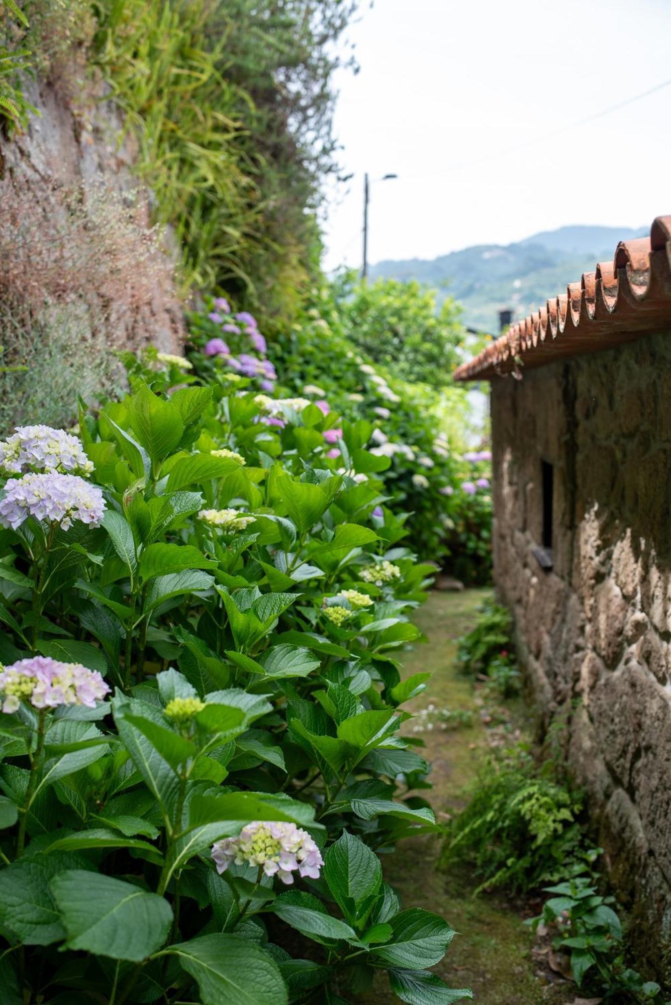 Villa Casa Da Torre, Porto Manso Ribadouro Esterno foto
